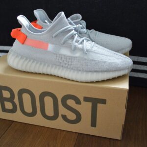 Adidas Yeezy Boost 350 V2 | Tail Light